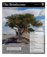 The Bristlecone U.S
