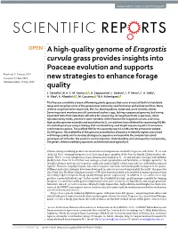 A High-Quality Genome of Eragrostis Curvula Grass Provides Insights Into Poaceae Evolution and Supports New Strategies to Enhanc