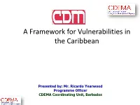 CDM Framework 2006