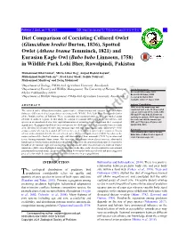 Diet Comparison of Coexisting Collared Owlet (Glaucidium Brodiei