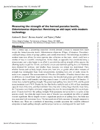 Measuring the Strength of the Horned Passalus Beetle, Odontotaenius Disjunctus: Revisiting an Old Topic with Modern Technology
