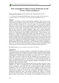 Role of Endophytic Fungi in Forage Production of Tall Fescue, Festuca Arundinacea