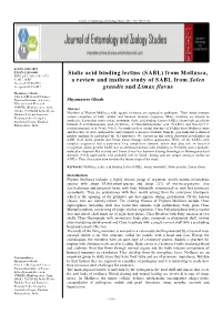 Sialic Acid Binding Lectins (SABL) from Mollusca, a Review and Insilico