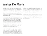 Walter De Maria.Pdf