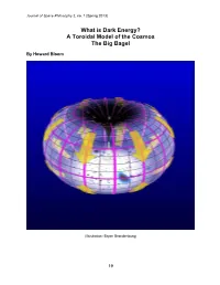 What Is Dark Energy? a Toroidal Model of the Cosmos the Big Bagel