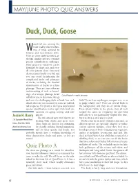 Duck, Duck, Goose