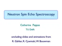 Neutron Spin Echo Spectroscopy