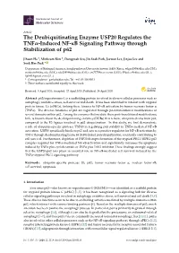 The Deubiquitinating Enzyme USP20 Regulates the Tnfα-Induced NF-Κb Signaling Pathway Through Stabilization of P62