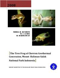 The Tree Frog of Chevron Geothermal Concession, Mount Halimun-Salak