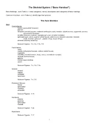 Bone Handout”)