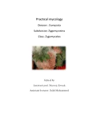 Practical Mycology