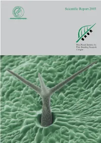 Scientific Report 2003