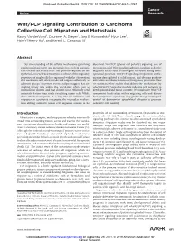 Wnt/PCP Signaling Contribution to Carcinoma Collective Cell Migration and Metastasis Kacey Vandervorst1, Courtney A