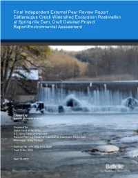 Final Independent External Peer Review Report Cattaraugus Creek