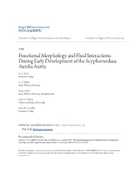 Functional Morphology and Fluid Interactions During Early Development of the Scyphomedusa Aurelia Aurita K