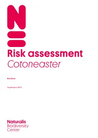 Risk Assessment Cotoneaster