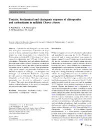 Toxicity, Biochemical and Clastogenic Response of Chlorpyrifos and Carbendazim in Milkﬁsh Chanos Chanos