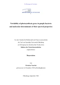 Variability of Photosynthesis Genes in Purple Bacteria and Molecular Determinants of Their Spectral Properties