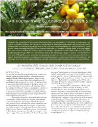 Anthocyanin and Glucosinolate Nutrients