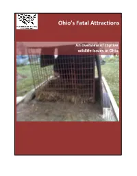 Ohio's Fatal Attractions: an Overview of Captive Wildlife Issues in Ohio
