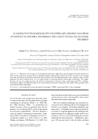 Scanning Electron Microscopy Vouchers and Genomic Data from an Individual Specimen: Maximizing the Utility of Delicate and Rare Specimens