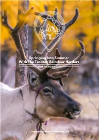 Springing Into Summer with the Tsaatan Reindeer Herders NORTH MONGOLIA