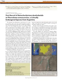 First Record of Batrachochytrium Dendrobatidis in Pleurodema Somuncurense, a Critically Endangered Species from Argentina