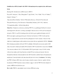 Identification of RNA Bound to the TDP-43 Ribonucleoprotein Complex in the Adult Mouse Brain