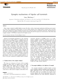 Synaptic Mechanisms of Bipolar Cell Terminals