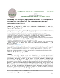 Taxonomy and Multigene Phylogenetic Evaluation of Novel Species in Boeremia and Epicoccum with New Records of Ascochyta and Didymella (Didymellaceae)