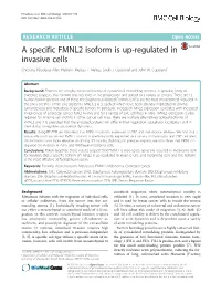 A Specific FMNL2 Isoform Is Up-Regulated in Invasive Cells Christine Péladeau, Allan Heibein, Melissa T