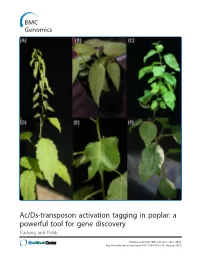 Ac/Ds-Transposon Activation Tagging in Poplar: a Powerful Tool for Gene Discovery Fladung and Polak