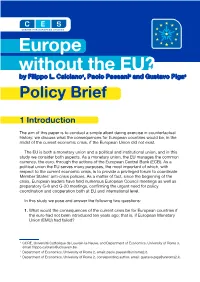 Europe Without the EU? by Filippo L