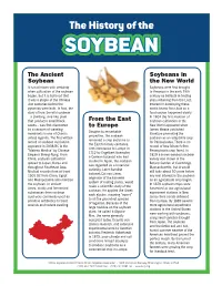 History of the SOYBEAN