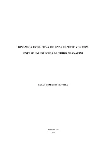 Dinâmica Evolutiva De Dnas Repetitivos Com Ênfase Em