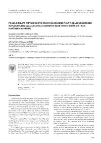 Fossils in Late Cretaceous to Early Palaeocene Flint Nodules Embedded in Pleistocene Glaciofluvial Sediments Near Fukov (Děčín District, Northern Bohemia)