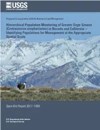 Hierarchical Population Monitoring Of