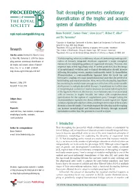 Trait Decoupling Promotes Evolutionary Diversification of The
