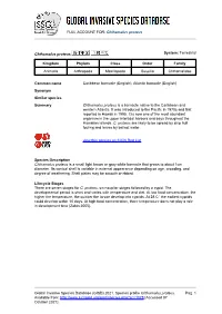 Chthamalus Proteus Global Invasive