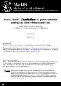 Download PDF Version