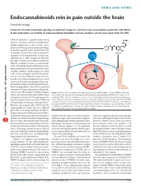Endocannabinoids Rein in Pain Outside the Brain