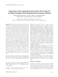 Expression of the Apoptosis-Related Genes Bcl-2 and P53 in Clinical Samples from Endometrial Carcinoma Patients