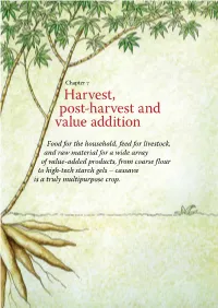 Save and Grow: Cassava