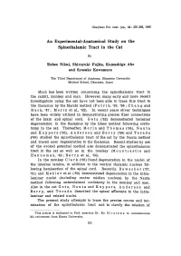 Spinothalamic Tract in the Cat Kahee Niimi, Shiroyuki Fujita, Kumashige