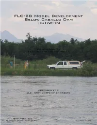 FLO-2D Model Development Below Caballo Dam URGWOM