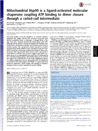 Mitochondrial Hsp90 Is a Ligand-Activated Molecular Chaperone Coupling ATP Binding to Dimer Closure Through a Coiled-Coil Intermediate
