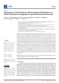 Utilisation of Chick Embryo Chorioallantoic Membrane As a Model Platform for Imaging-Navigated Biomedical Research