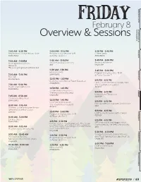 Friday Programming