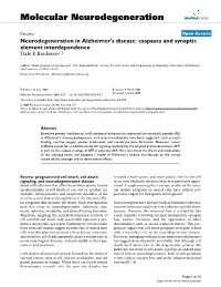 View Open Access Neurodegeneration in Alzheimer's Disease: Caspases and Synaptic Element Interdependence Dale E Bredesen1,2