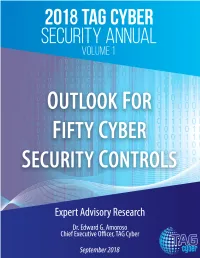 2018-TAG-Cyber-Security-Annual-Volume-1.Pdf